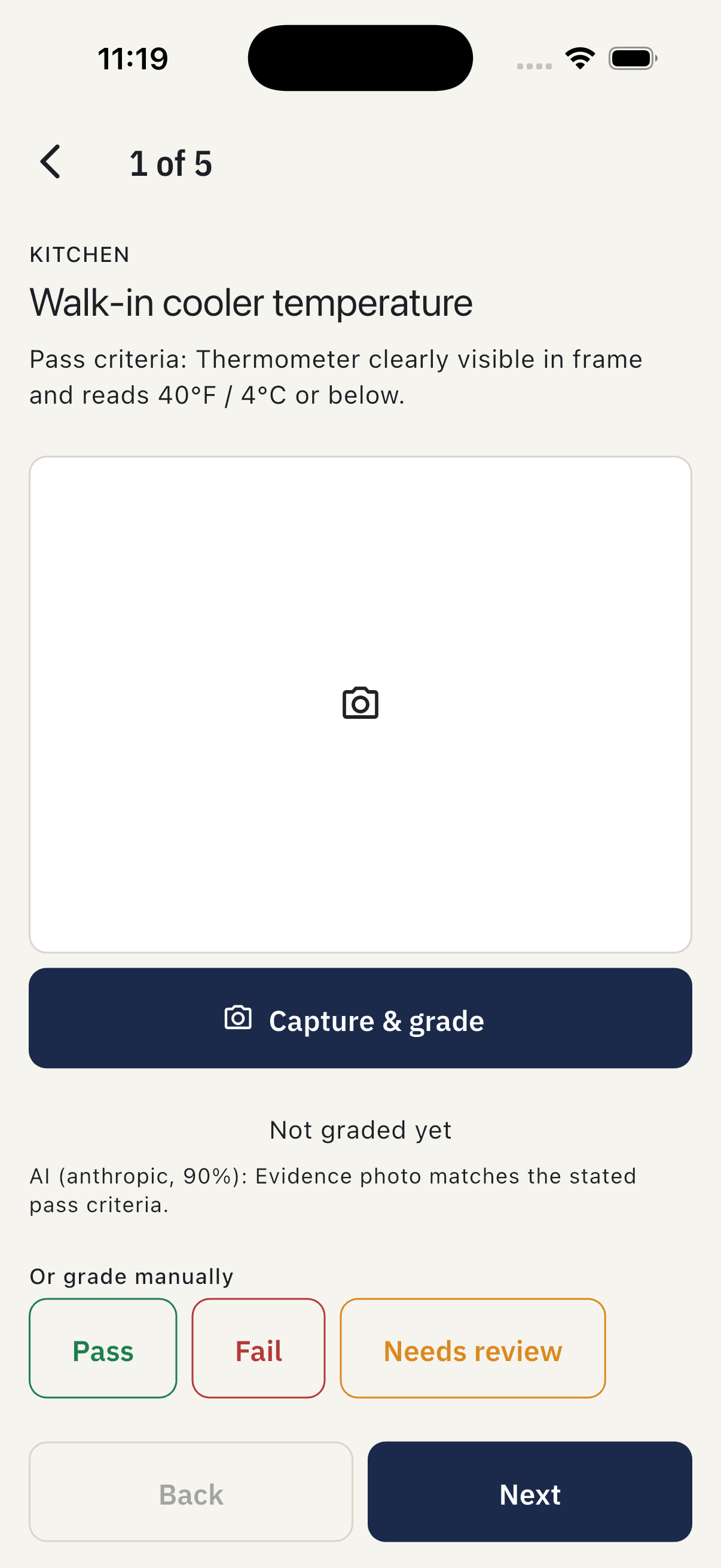 Audit runner — capture & grade