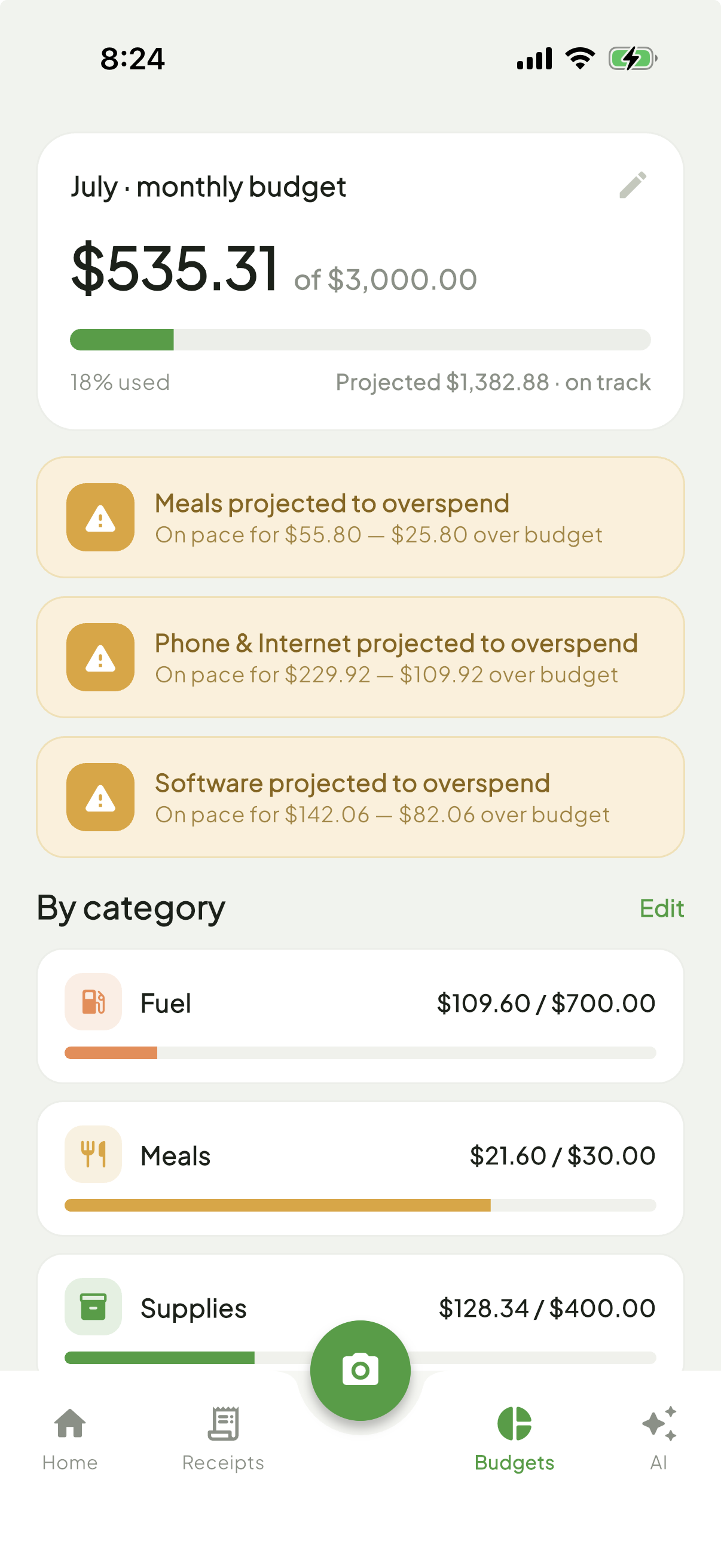 Budgets screen with category-level spend limits